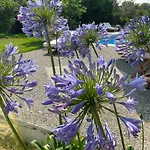 Apartamento Marina Lefkáda