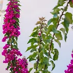 Apartment Marina Lefkada City