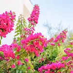 Marina * Lefkada City