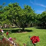 Marina Διαμέρισμα Λευκάδα