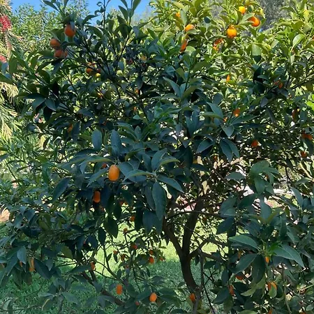 Appartamento Marina Lefkáda