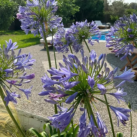 Διαμέρισμα Marina Λευκάδα