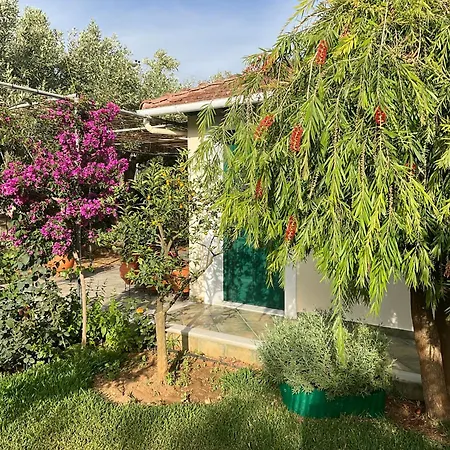 Marina Apartmán *
