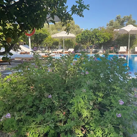 Marina Διαμέρισμα