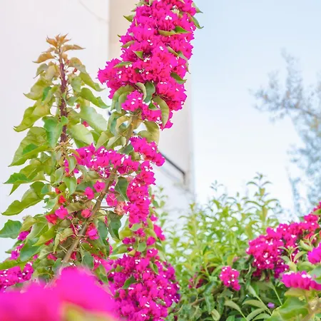 Marina * Λευκάδα