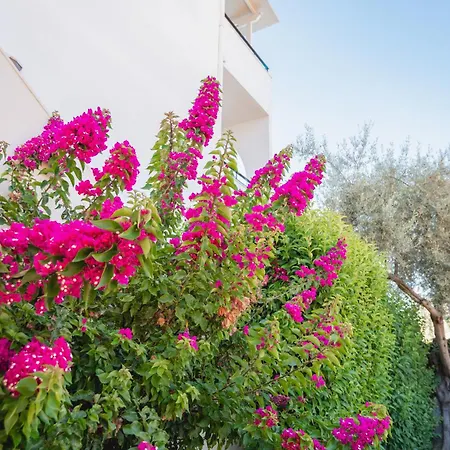 Marina Apartment Lefkada City