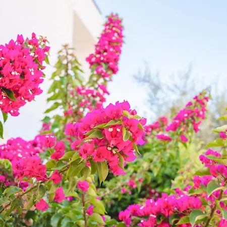 Marina * Λευκάδα