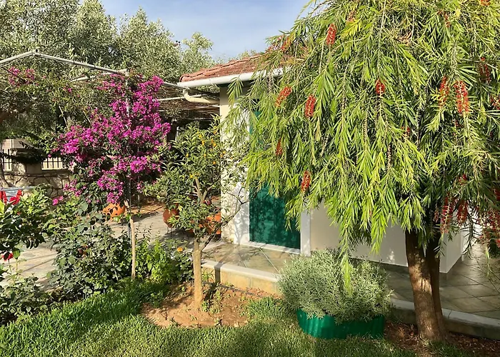 Marina Apartamento *