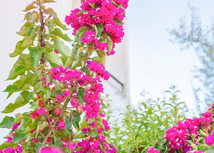 Marina * Лефкада