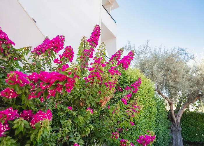 Marina Апартаменты Лефкада